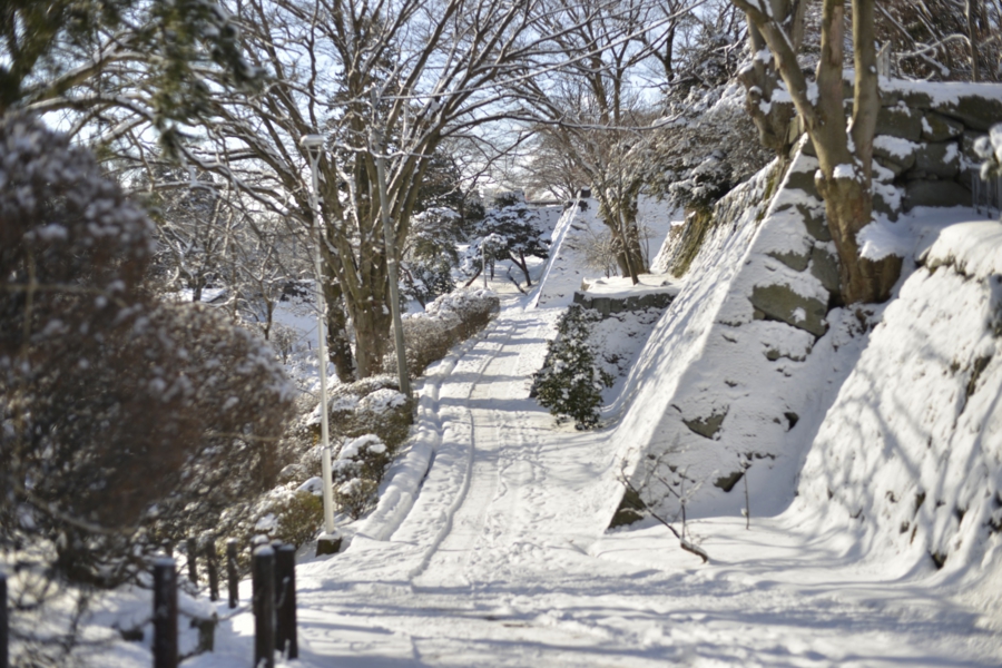 iwate_0006.jpg