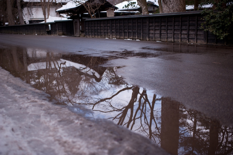 akita_0031.jpg