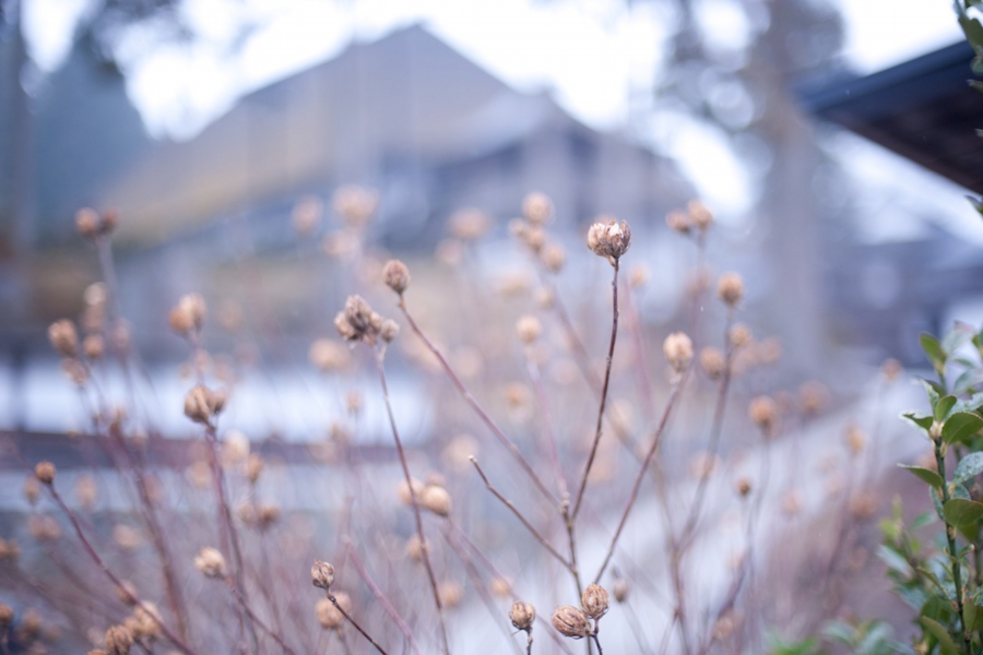 iwate_0003.jpg