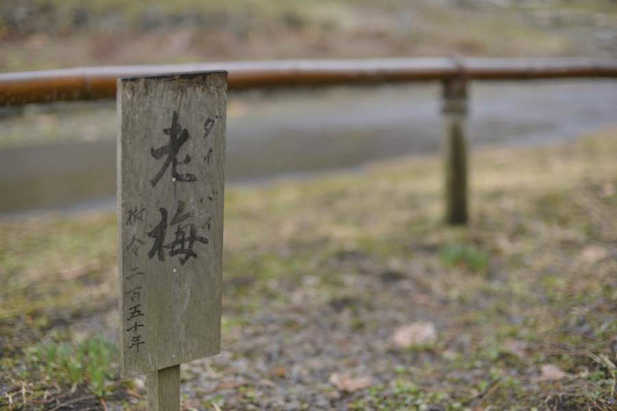 iwate_0006.jpg