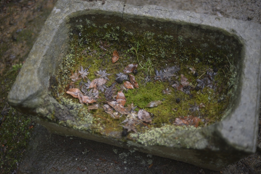 iwate_0029.jpg