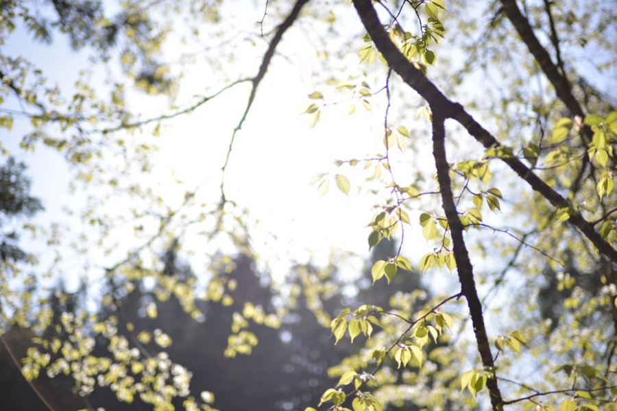 20140503_05.jpg