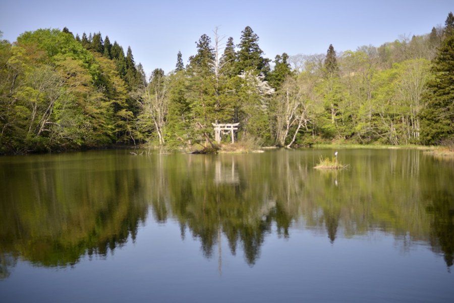 20140503_06.jpg