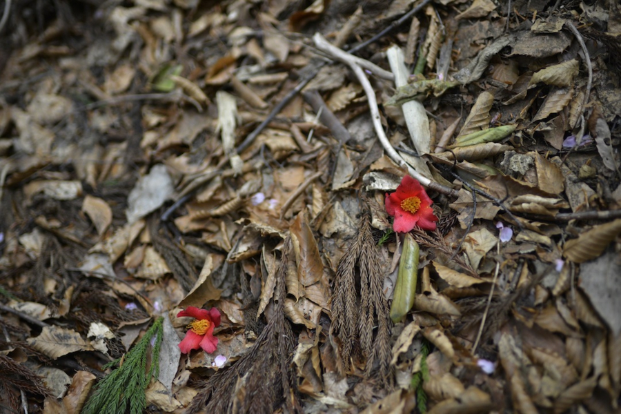 20140503_10.jpg