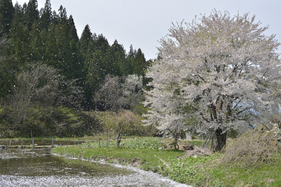 20140503_12.jpg