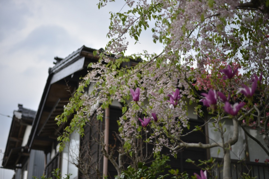 20140503_13.jpg