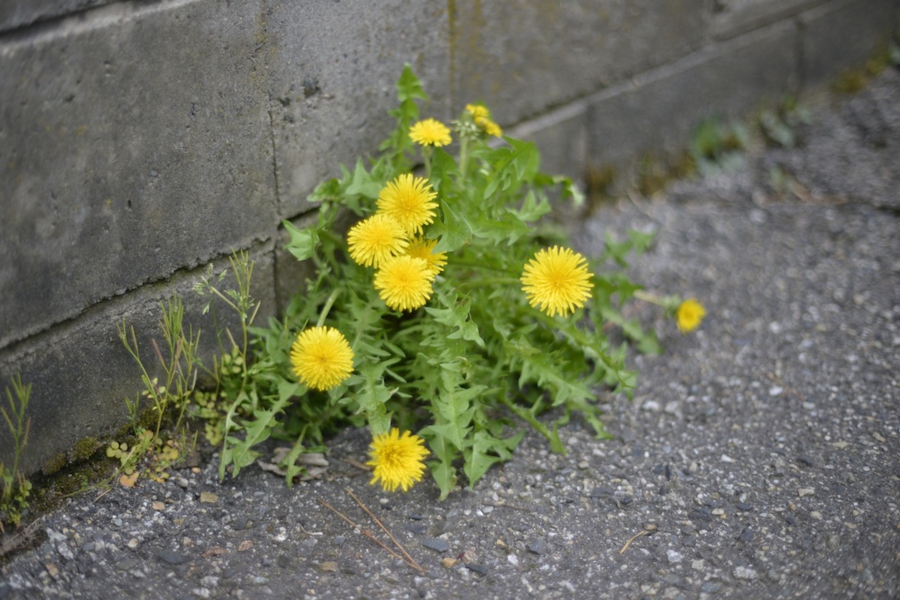 20140503_14.jpg