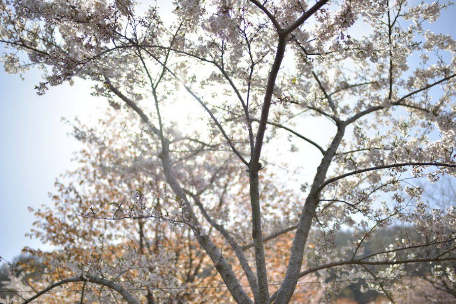20140503_22.jpg