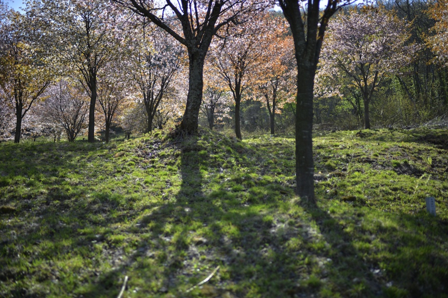 20140503_23.jpg