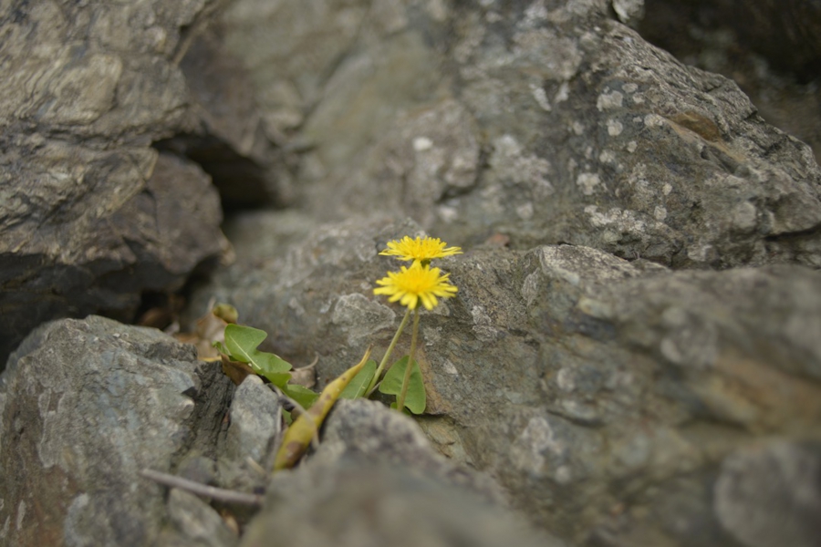 ise_005.jpg