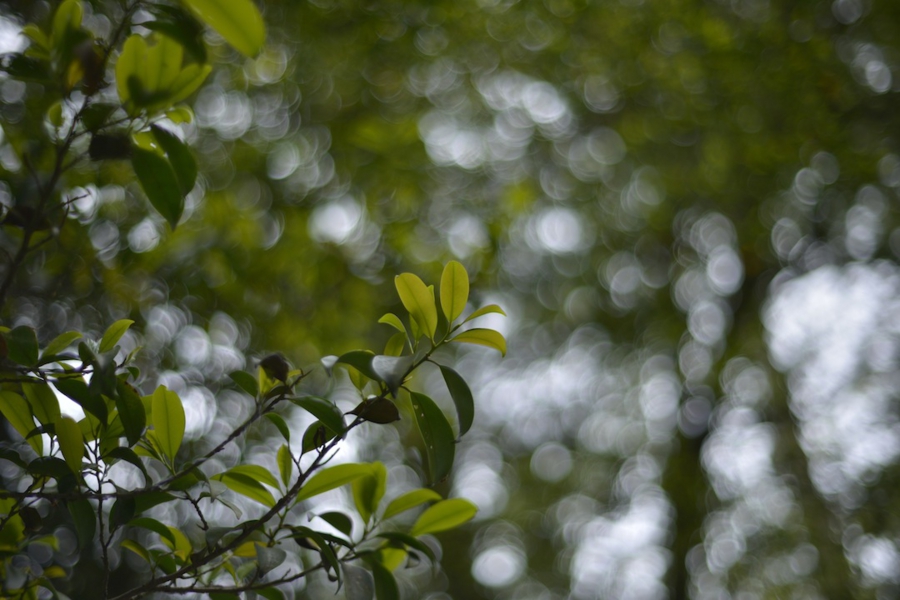 ise_010.jpg
