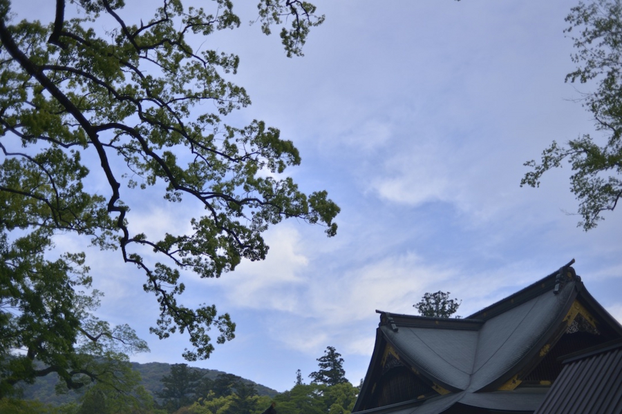 ise_026.jpg