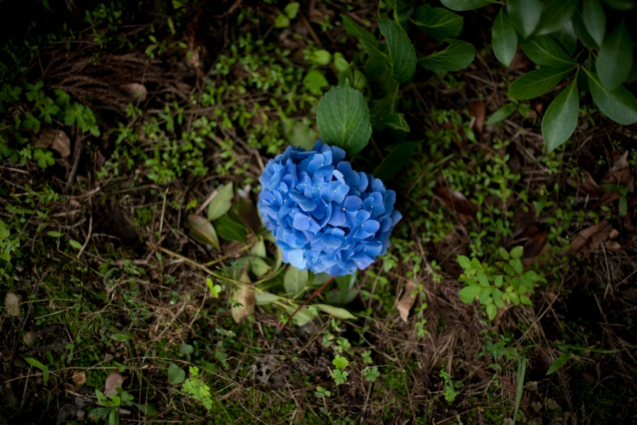 aone_030.jpg