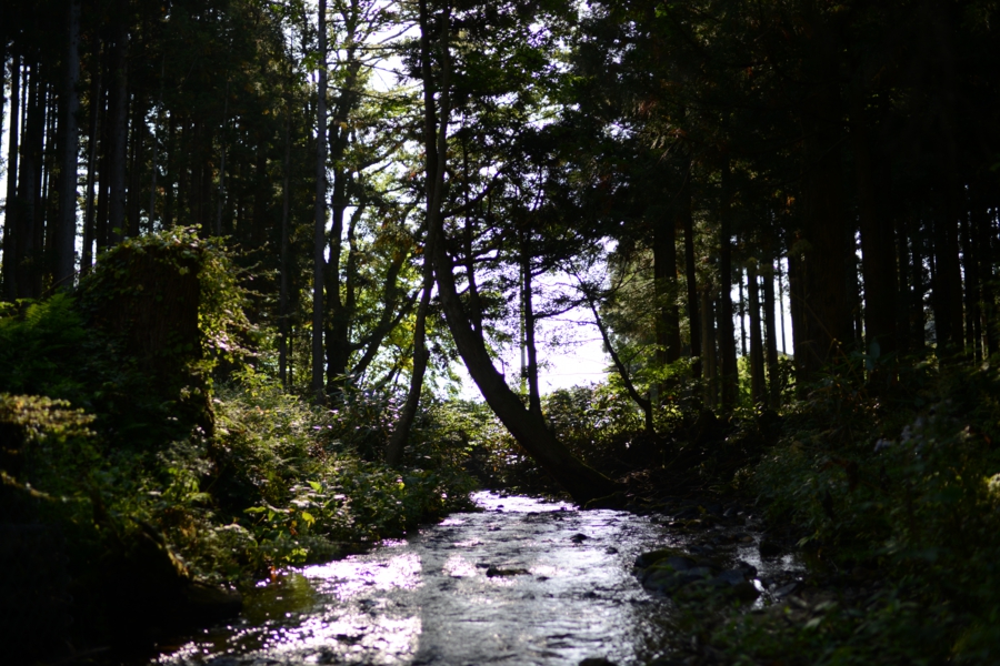 yokoe_0006.jpg