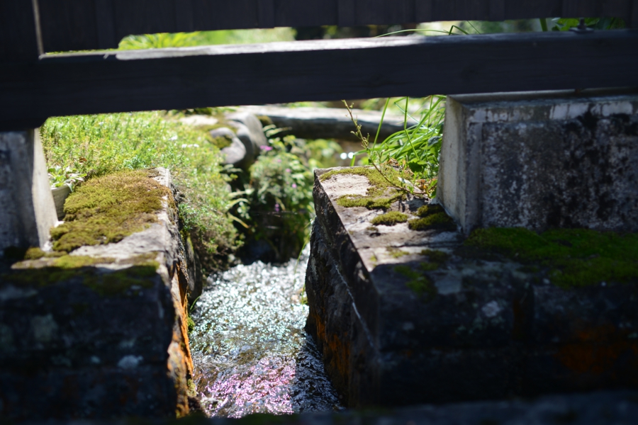 yokoe_0021.jpg