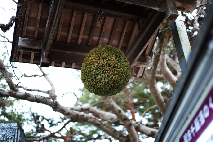 yokoe_s_0027.jpg