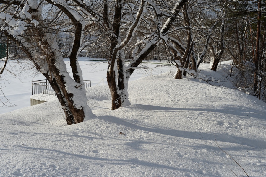 0215_0005.jpg