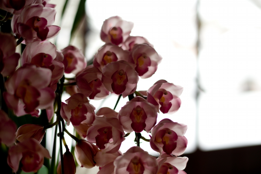 0215_0014.jpg