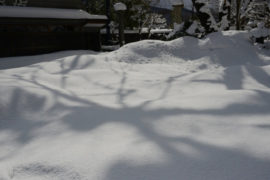 0215_0042.jpg