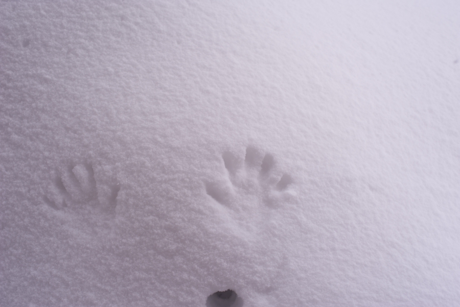 0215_0045.jpg