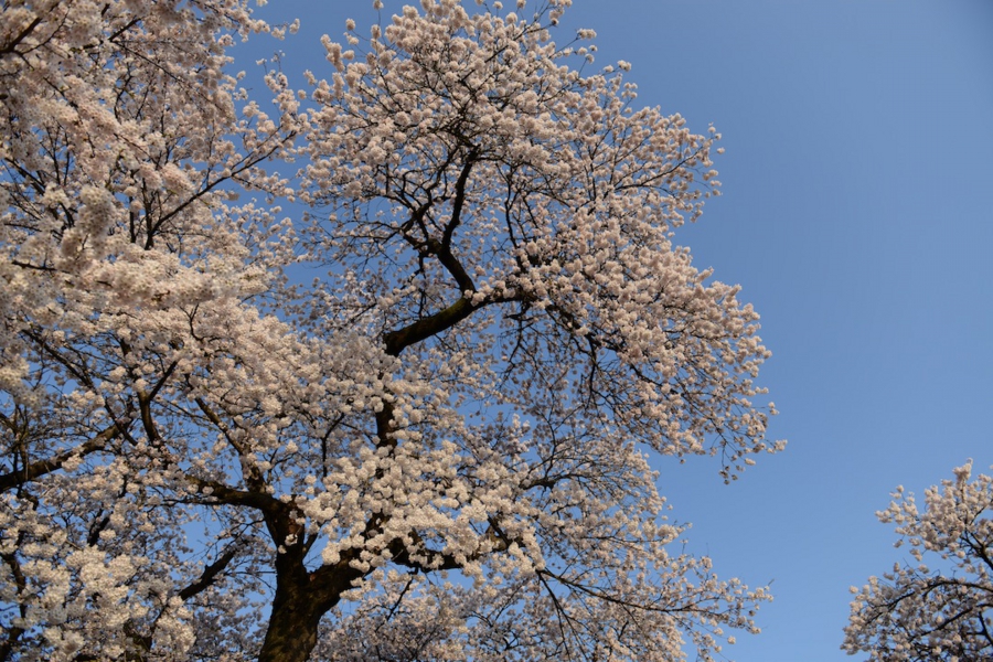 select_0005.jpg