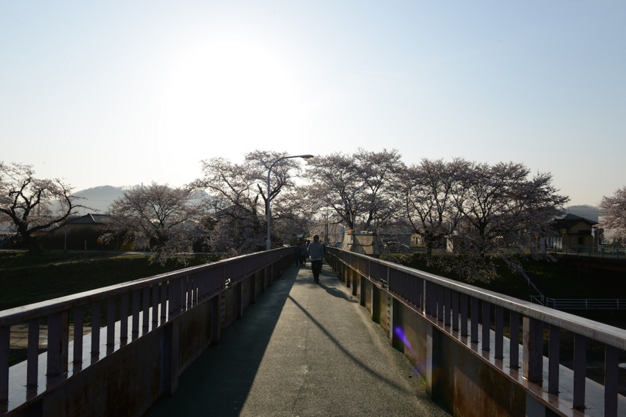 select_0006.jpg
