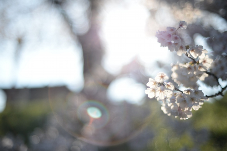 select_0012.jpg
