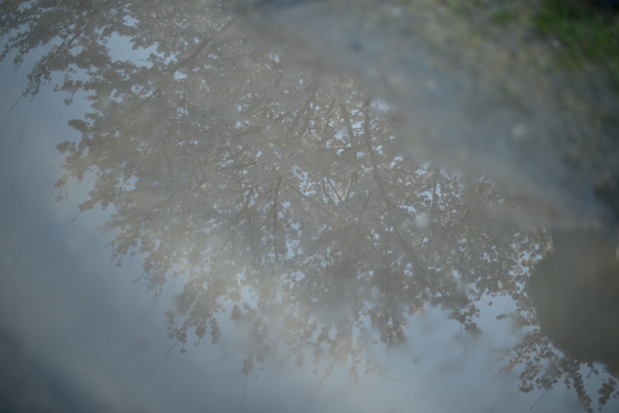 select_0013.jpg