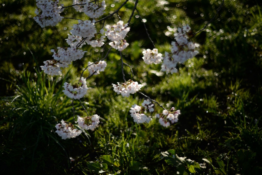 select_0014.jpg