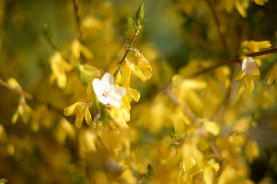 select_0018.jpg