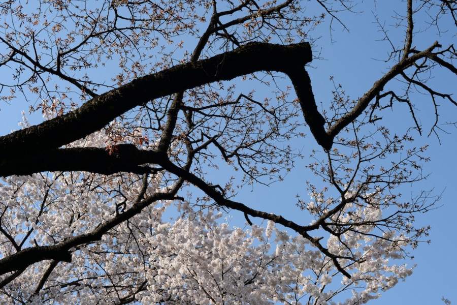 select_0020.jpg