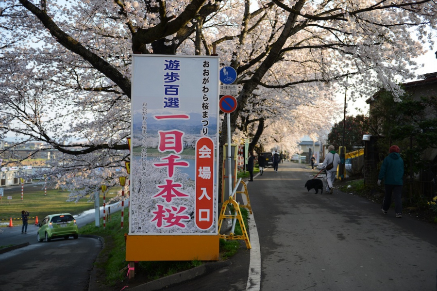 select_0027.jpg