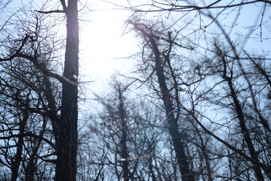 select_0029.jpg