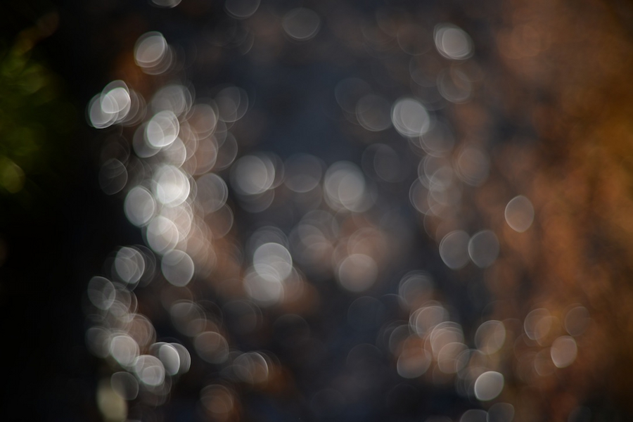 select_0031.jpg