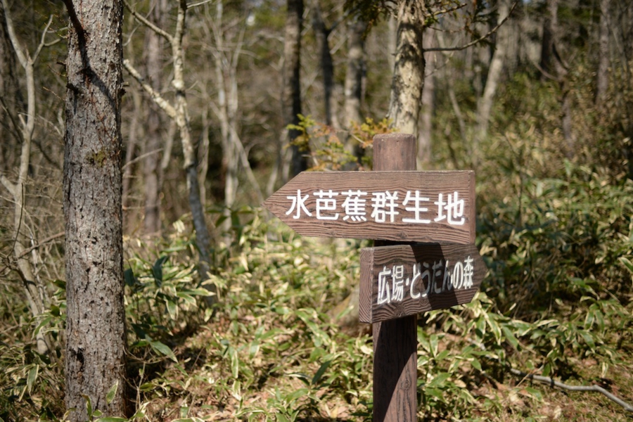 select_0032.jpg