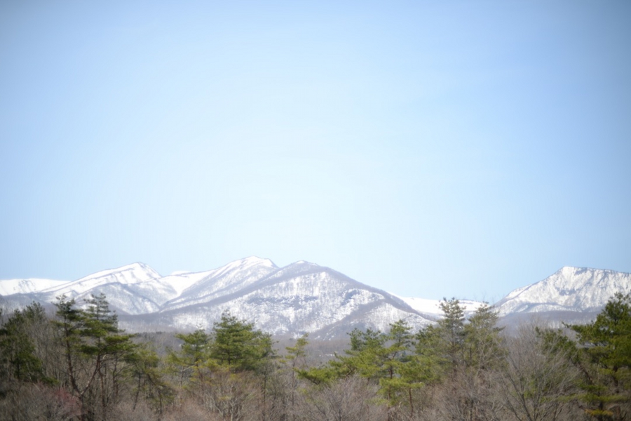 select_0039.jpg