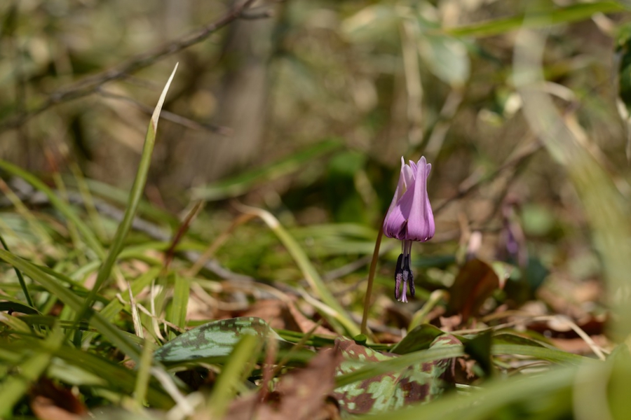 select_0040.jpg