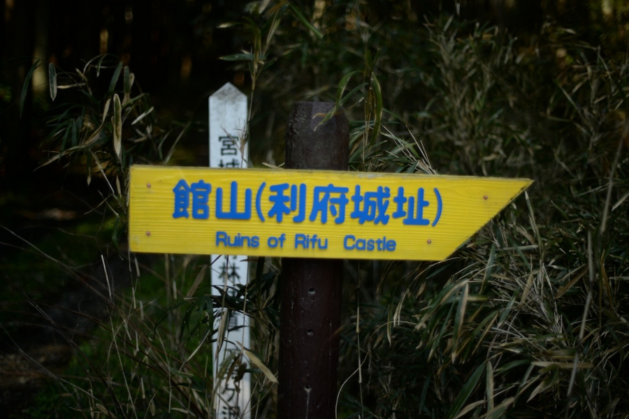 select_0041.jpg