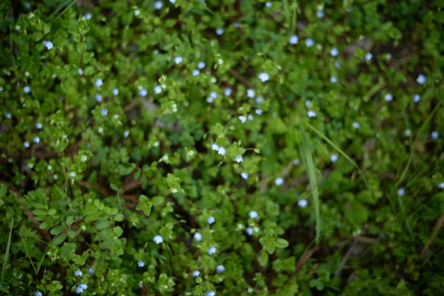 select_0047.jpg