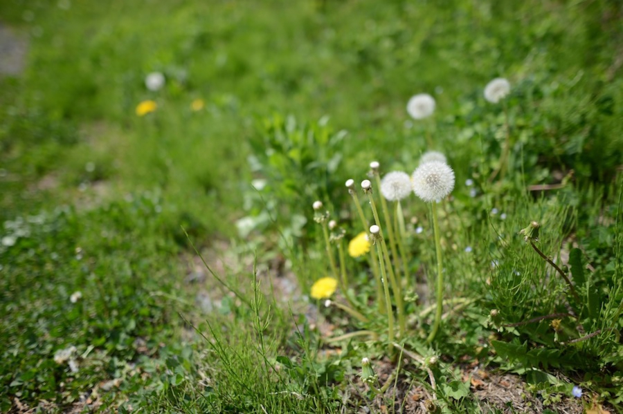 yokoe_0010.jpg