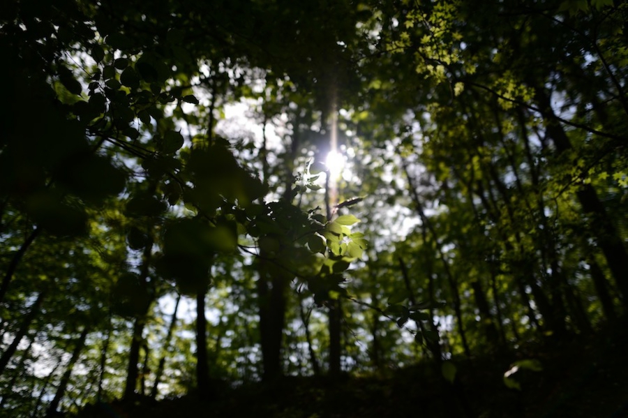yokoe_0011.jpg
