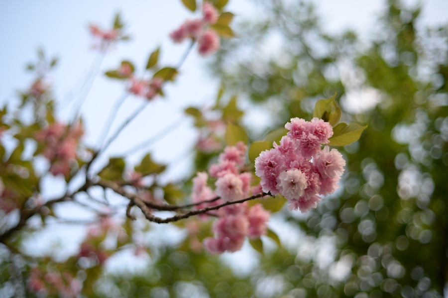 yokoe_0026.jpg