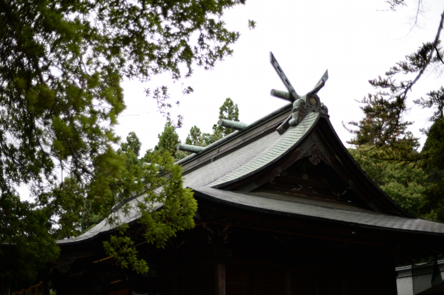 0628_0029.jpg