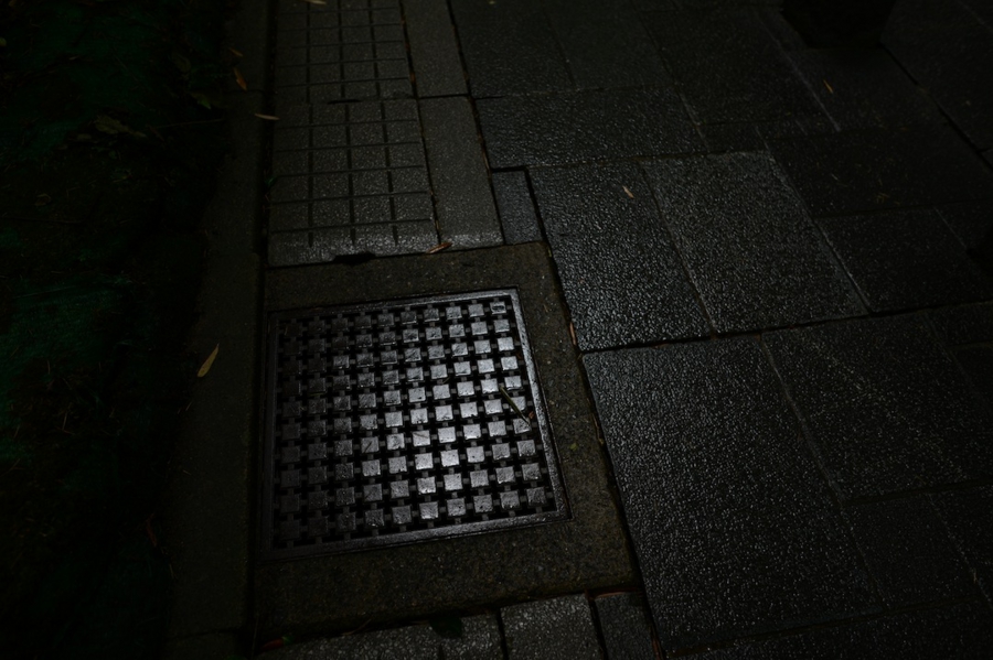 aoba_0011.jpg