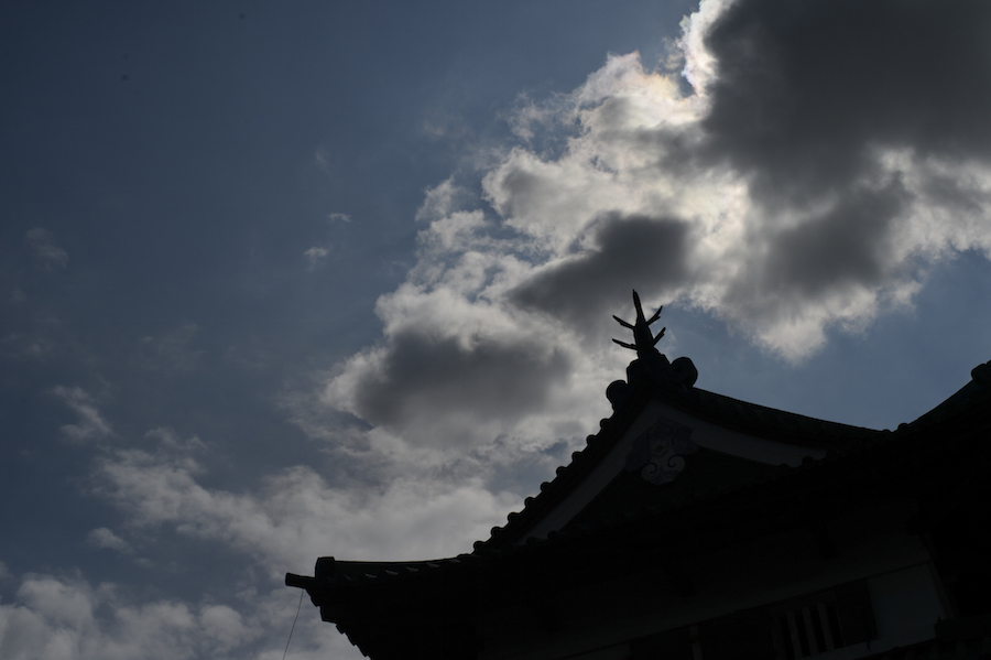 hirosaki_0008.jpg
