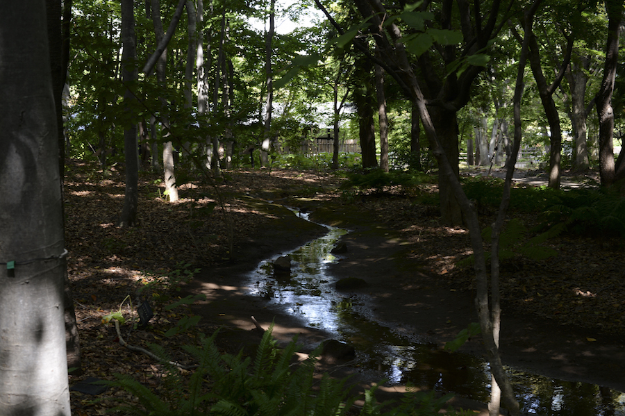 hirosaki_0009.jpg