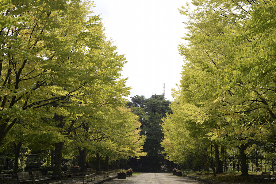 hirosaki_0011.jpg