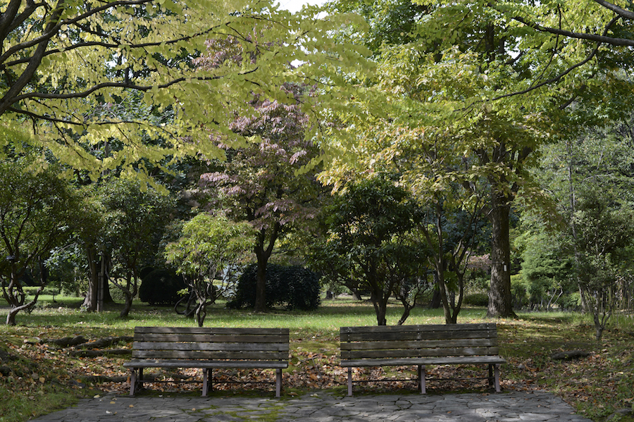 hirosaki_0016.jpg