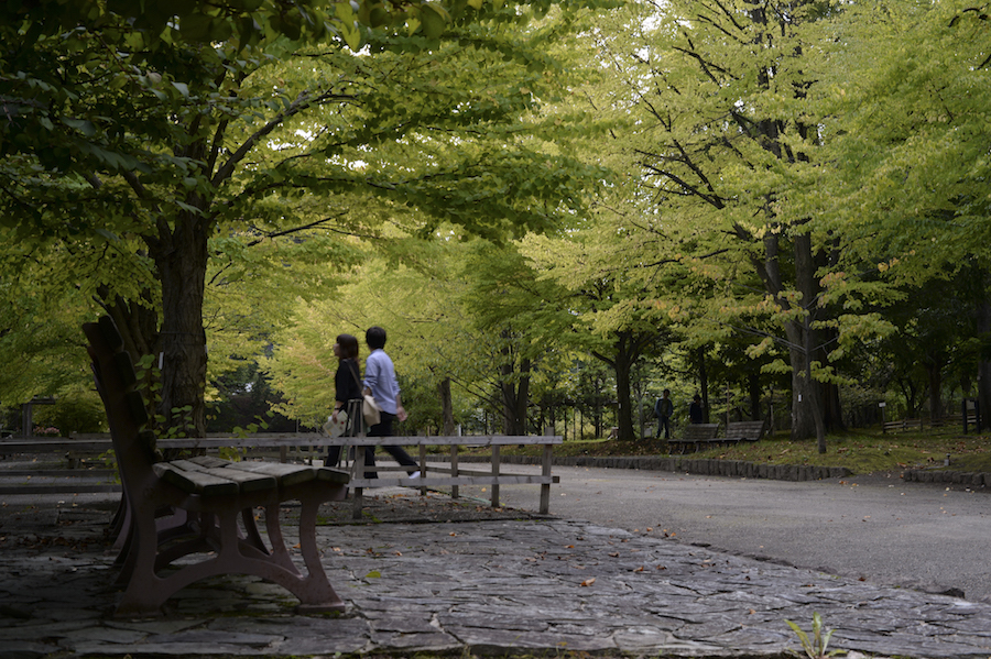 hirosaki_0018.jpg