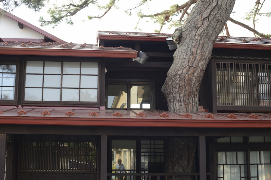 hirosaki_0032.jpg